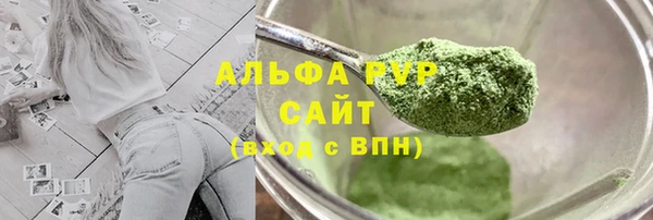 ECSTASY Елизово