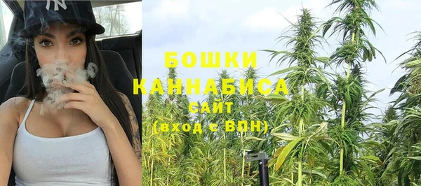 ECSTASY Елизово