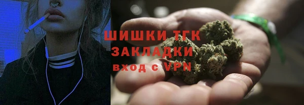 ECSTASY Елизово