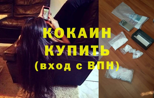 ECSTASY Елизово