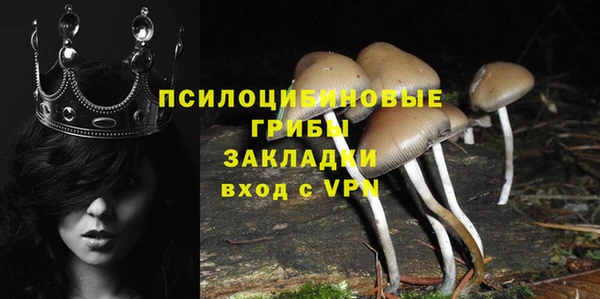 ECSTASY Елизово